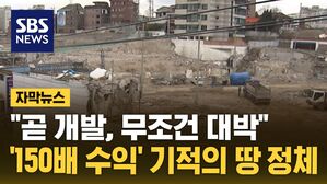 [자막뉴스] "여기 무조건 대박"&hellip;'150배 수익' 기적의 땅 정체
