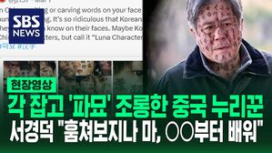 각 잡고 '파묘' 조롱한 중국 누리꾼 서경덕 "훔쳐보지나 마, OO부터 배워"