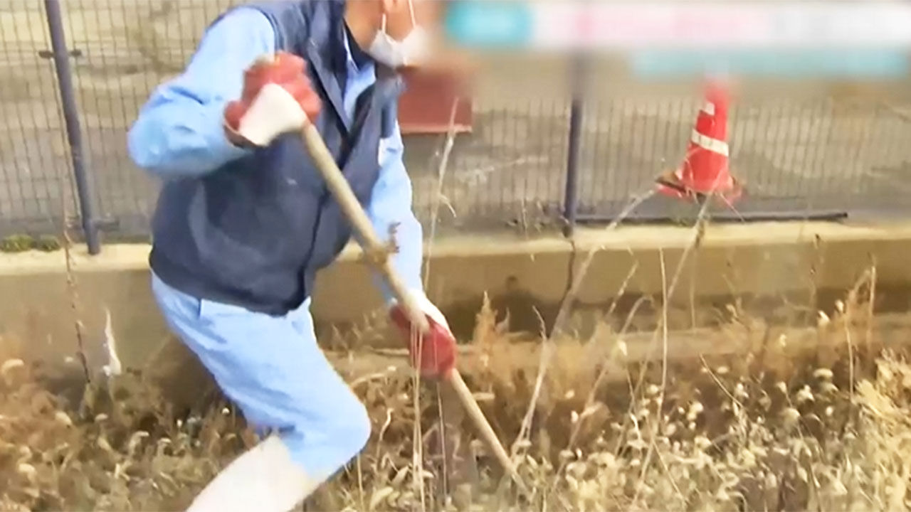 일본서 1급 발암물질 묻은 고양이 배회, 고양이 찾는 사람