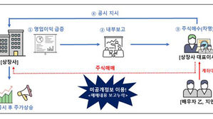 상장사 대표이사가 미공개 정보로 차명계좌 주식 매수&hellip;검찰 고발