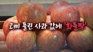 [뉴블더] 또 올랐는데&hellip;"앞으로 반 년은 답 없다"