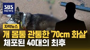 [자막뉴스] 개 몸통 관통한 '70cm 화살'&hellip;체포된 40대의 최후