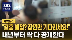 [자막뉴스] 스드메