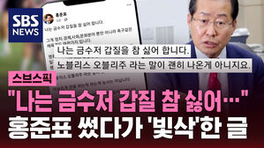 "나는 금수저 갑질 참 싫어…" 홍준표 썼다가 '빛삭'한 글