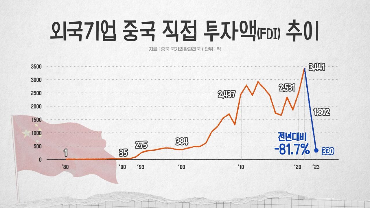 교양이를 부탁해