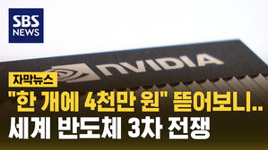 [자막뉴스] "한 개에 4천만 원"이라고 하는데&hellip;뜯어보니 이랬습니다