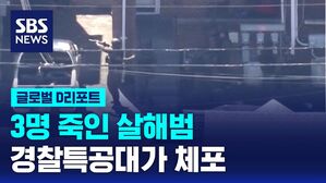 살해범