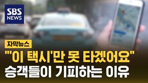 [자막뉴스] 전기차 택시