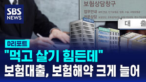 [D리포트] "먹고 살기 힘든데"…보험대출, 보험해약 크게 늘어