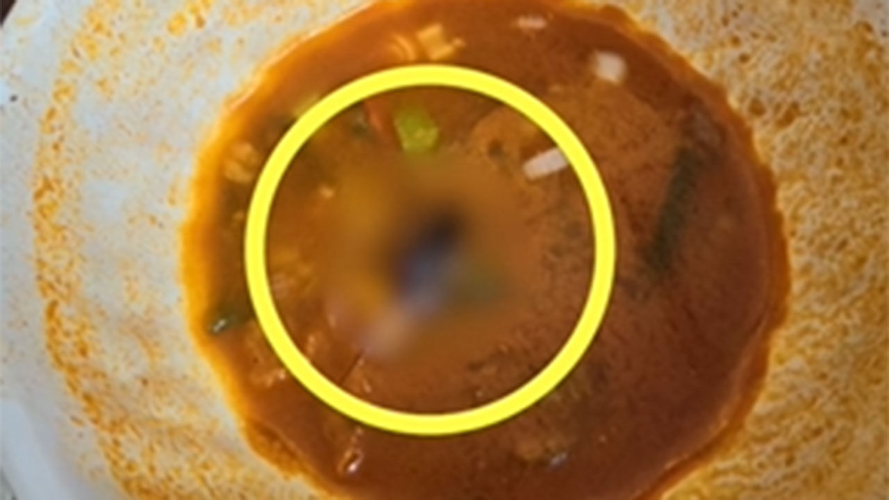 짬뽕 국물 속 바퀴벌레