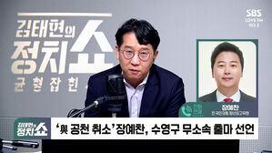 0319 정치쇼 장예찬