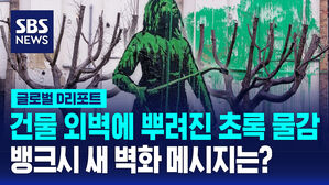 [글로벌D리포트] 뱅크시, 새로운 벽화 인증&hellip;환경보호 메시지?