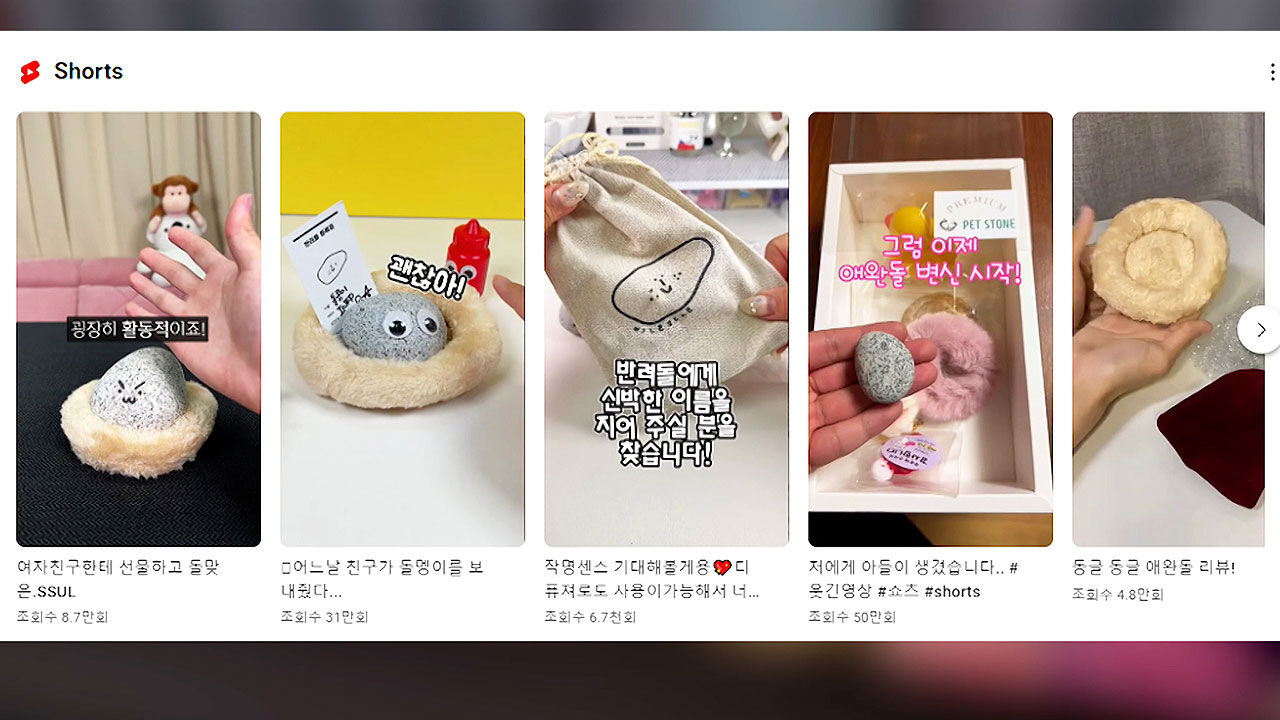 실시간e뉴스 2. 반려돌