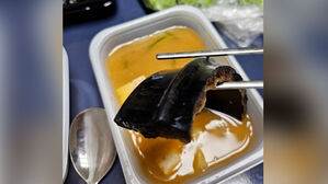 [뉴스딱] 된장찌개 먹다 '아찔'&hellip;배달 음식점 무성의 대응 논란