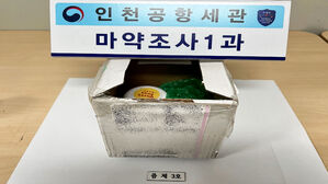 '대마초 40배' 고농축 대마오일 꿀로 위장&hellip;밀수범 2명 구속 송치
