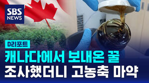 [D리포트] 고농축 대마오일을 꿀로 위장해 밀수한 2명 구속송치