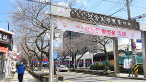 '벚꽃 없는 벚꽃축제' 될 판&hellip;"벚나무야 힘내줘"