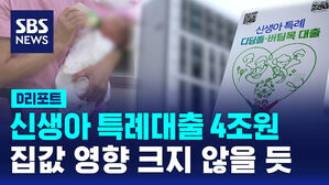 [D리포트] 신생아 특례대출 4조 원&hellip;집값 영향 크지 않을 듯