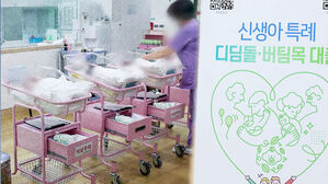 신생아 특례대출 4조 원 돌파&hellip;"집값 영향 크지 않을 듯"