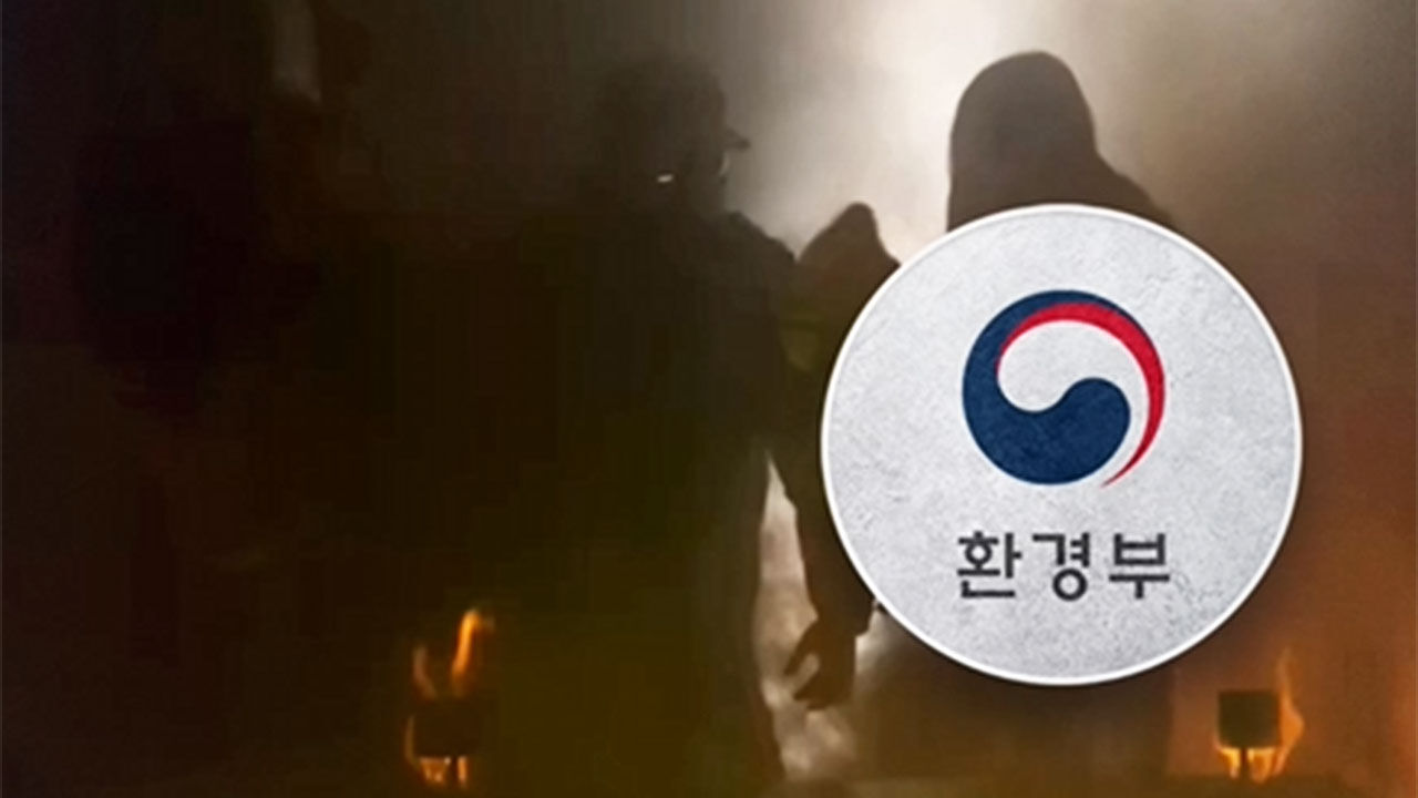 박세용 뉴스스프링