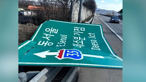 기다렸다는 듯이 '쾅'&hellip;고속도로 달리던 차량 날벼락