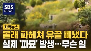 [자막뉴스] 몰래 파헤쳐 유골 빼냈다&hellip;실제 '파묘' 발생, 무슨 일?