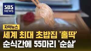 [자막뉴스] 세계 최대 회전초밥집 '홀딱'&hellip;순식간에 55마리 '순살'