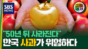[김밥경제] 줄어드는 사과 재배 면적…강원도 정선까지 몰렸다 2070년 한국 사과 자취 감출까?