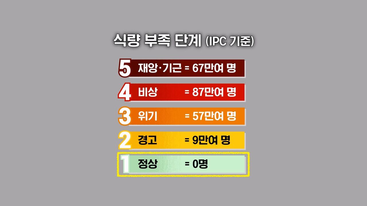 딥빽
