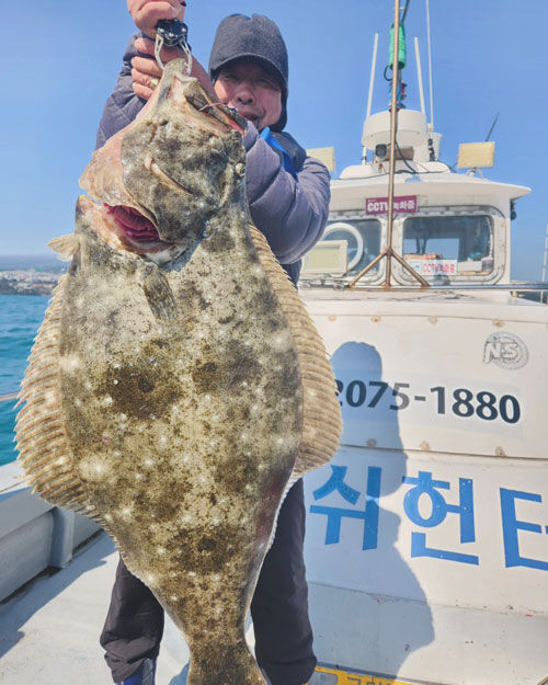 제주 바다에서 낚인 대형 광어 (사진=장영준 씨 제공, 연합뉴스)