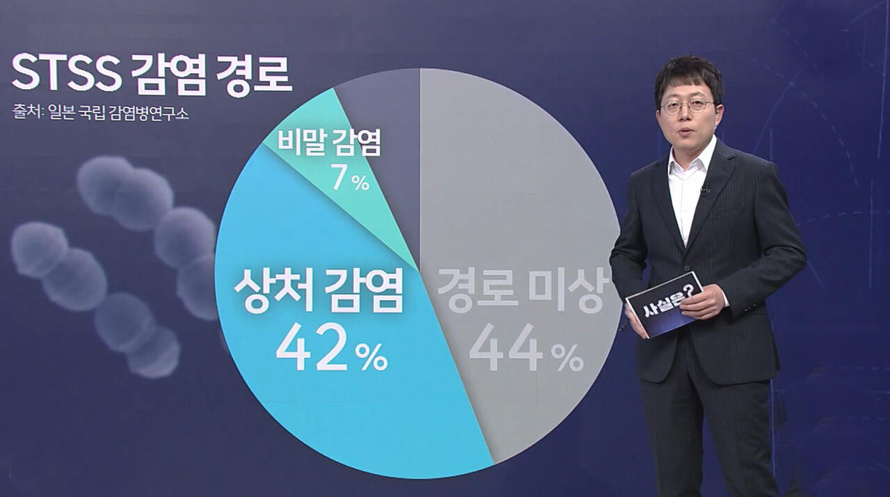 스프 뉴스스프링