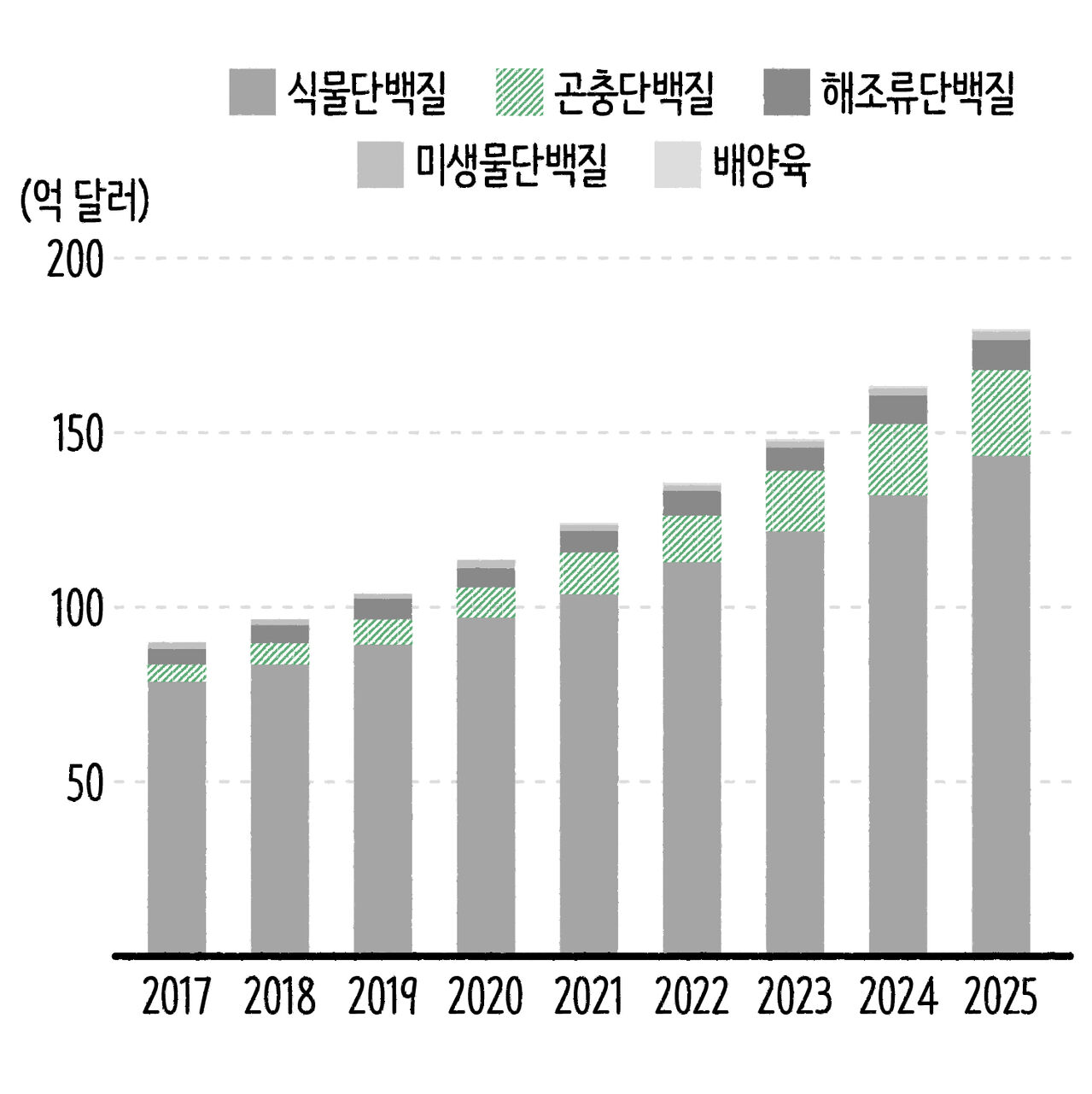 안혜민 마부뉴스