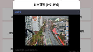 진해군항제 전용 앱 내려받으면 실시간 교통 현황 확인