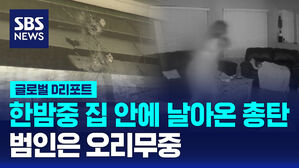 [글로벌D리포트] 한밤중 집 안에 날아온 총탄&hellip;범인&middot;동기 오리무중
