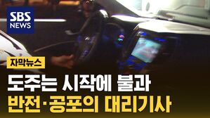 [자막뉴스] 도주는 시작에 불과&hellip;반전&middot;공포의 대리기사