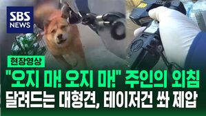 [영상] 10년 넘게 키워준 주인 공격한 40kg 대형견, 경찰관에게도 달려들어 테이저건 쏴 '제압'