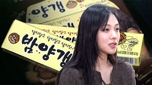 음악 넘어 트렌드로&hellip;비비가 말하는 '밤양갱' 열풍