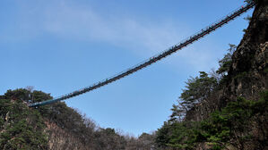 국토부, 출렁다리 안전 관리 강화한다&hellip;매뉴얼 개정