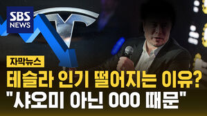 [자막뉴스] 테슬라 인기 떨어지는 이유?&hellip;"샤오미 아닌 OOO 때문"