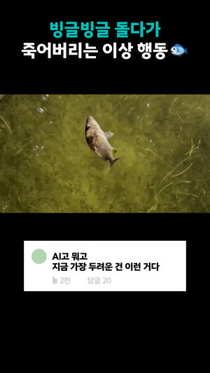 빙글빙글 돌다가 죽어버리는 이상 행동