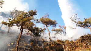 수도권 곳곳에서 산불&hellip;산불 경보 '주의'