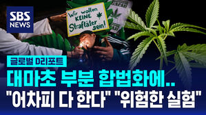 [글로벌D리포트] "어차피 다 피우는데" vs "위험한 실험"