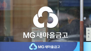 금융당국, '상호금융팀' 출범&hellip;새마을금고 감시 강화
