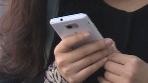 "고양이 사료 싸게 사려다 피싱 사기당해"&hellip;910만 원 결제돼