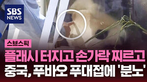 플래시 터지고 손가락 찌르고 중국, 푸바오 푸대접에 '분노'