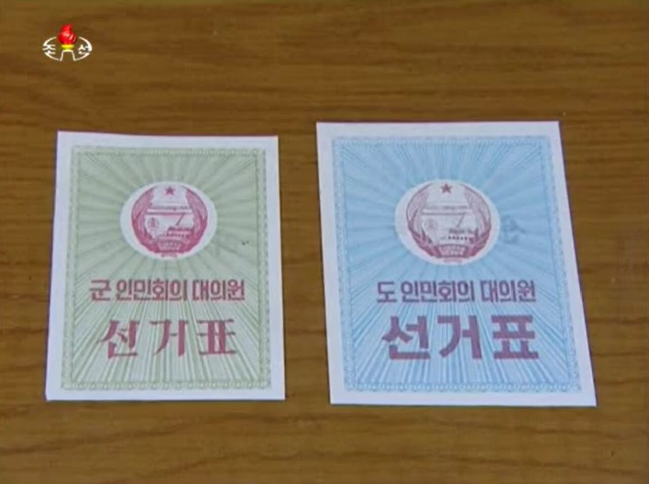 안정식 N코리아 정식