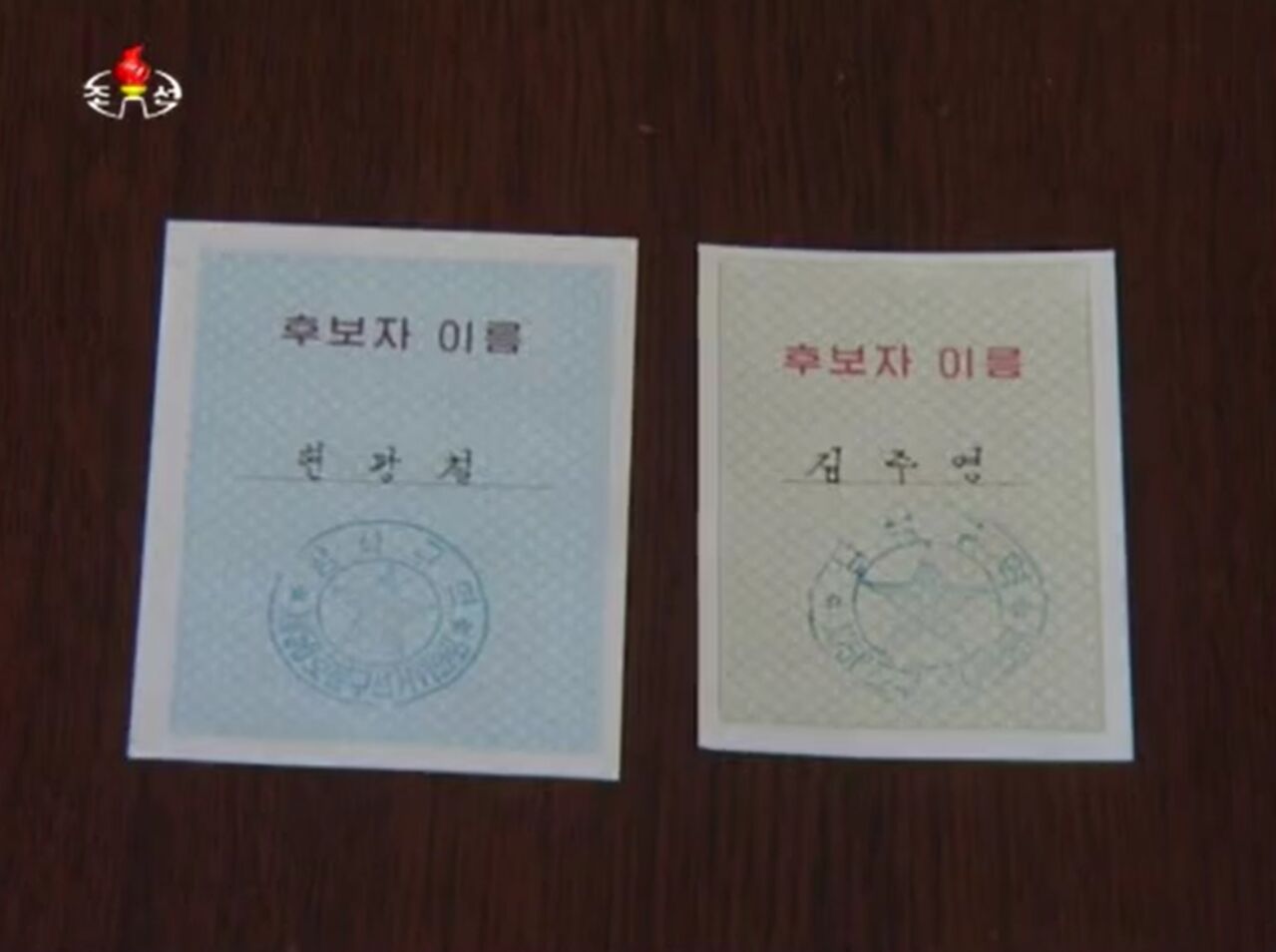 안정식 N코리아 정식