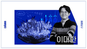 해파리 스프칼럼