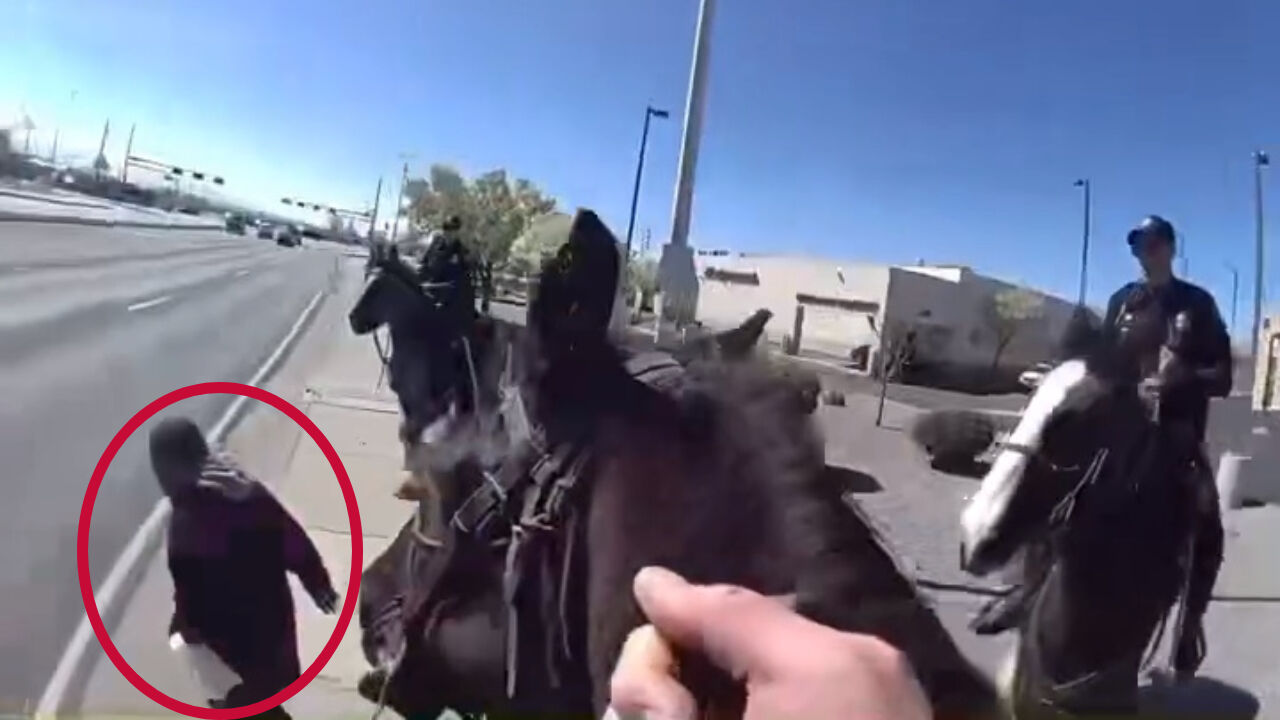 절도범 추격해 잡은 미국 기마경찰대(사진/영상= 페이스북 'Albuquerque Police Department' 캡처)