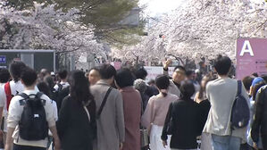 정부, 봄철 행사 안전 대책 추진&hellip;축제 인파 관리 총력